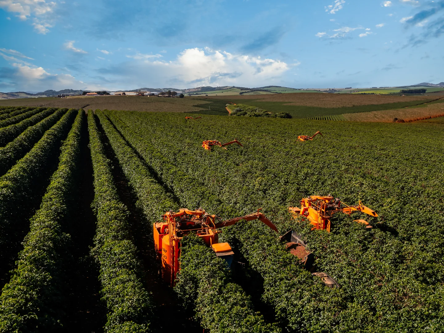 Background - Precisão e qualidade